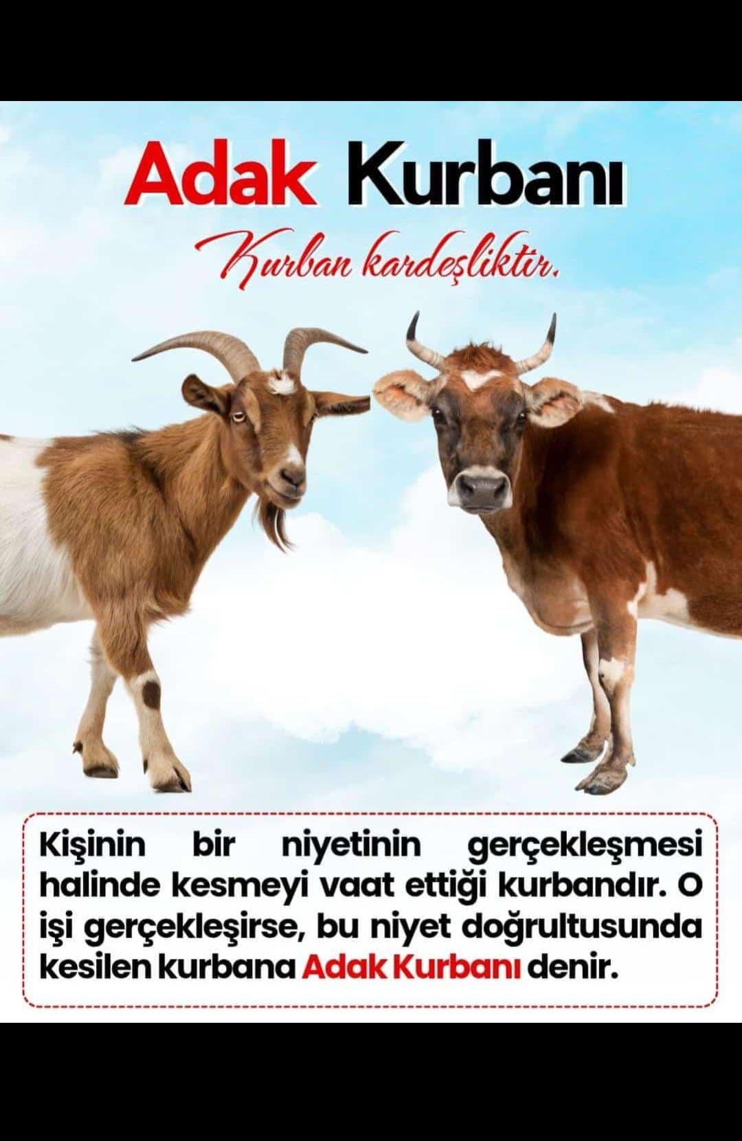 Adak Kurbanı