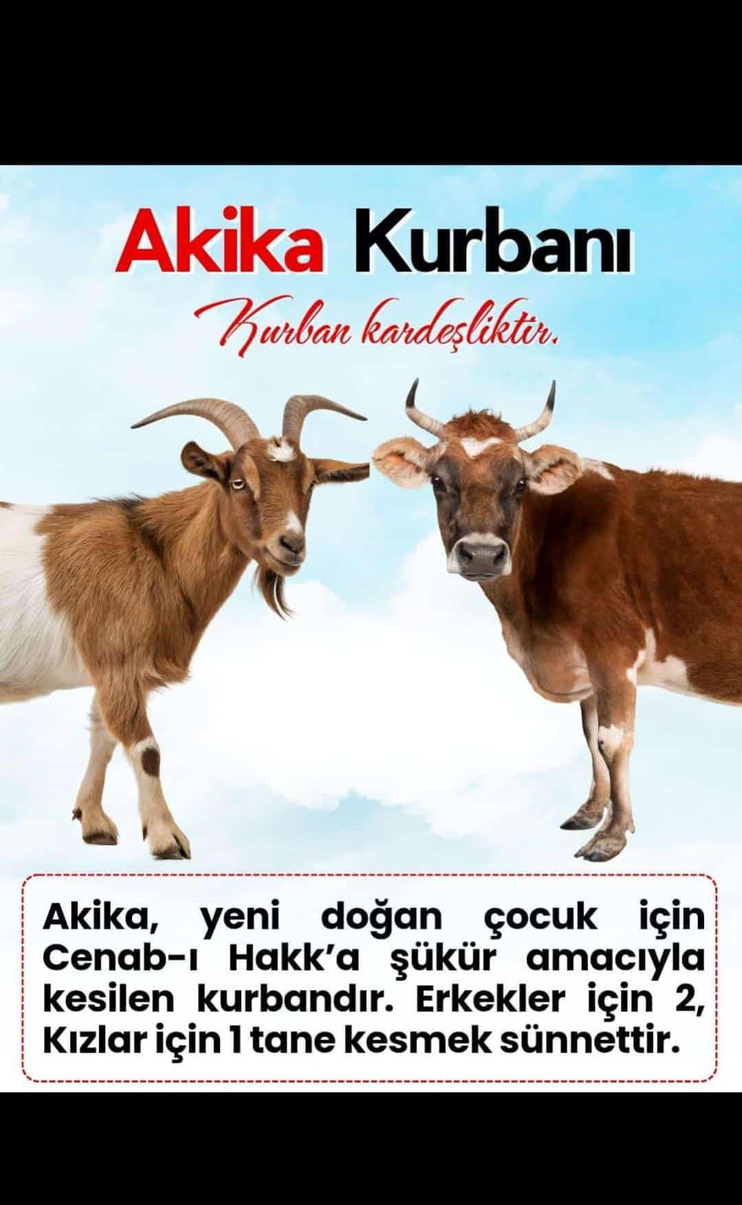 Akika Kurbanı