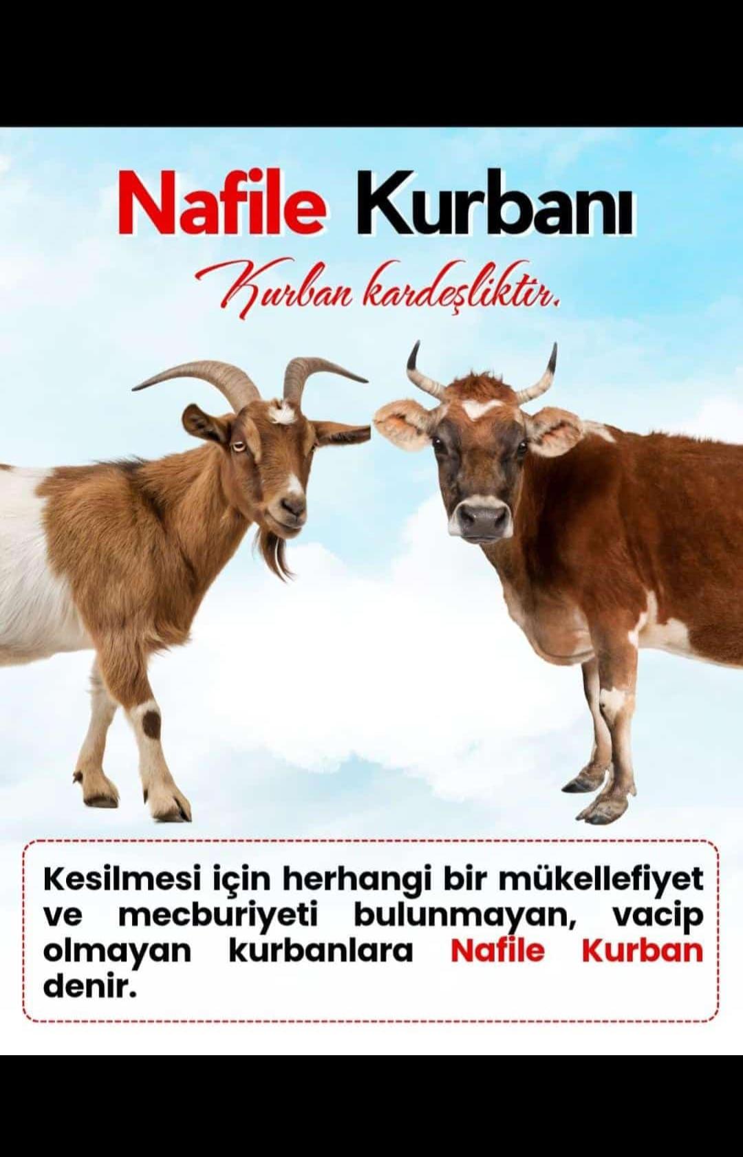 Nafile Kurbanı