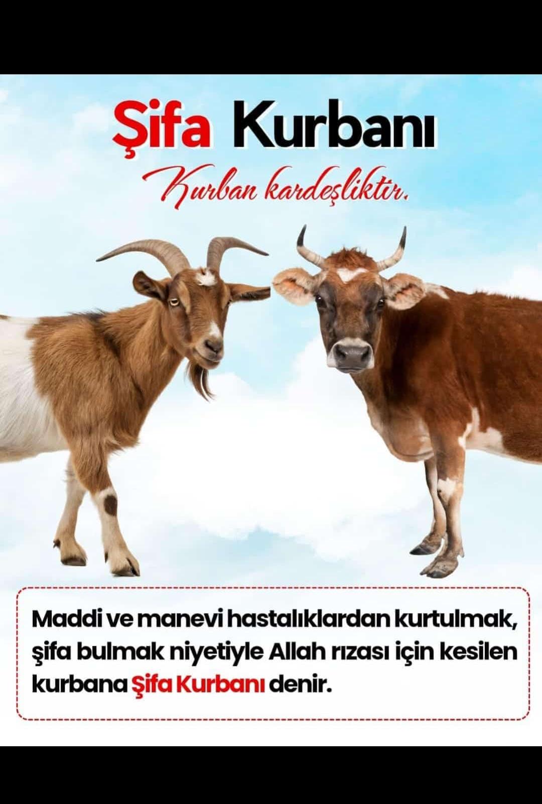 Şifa Kurbanı
